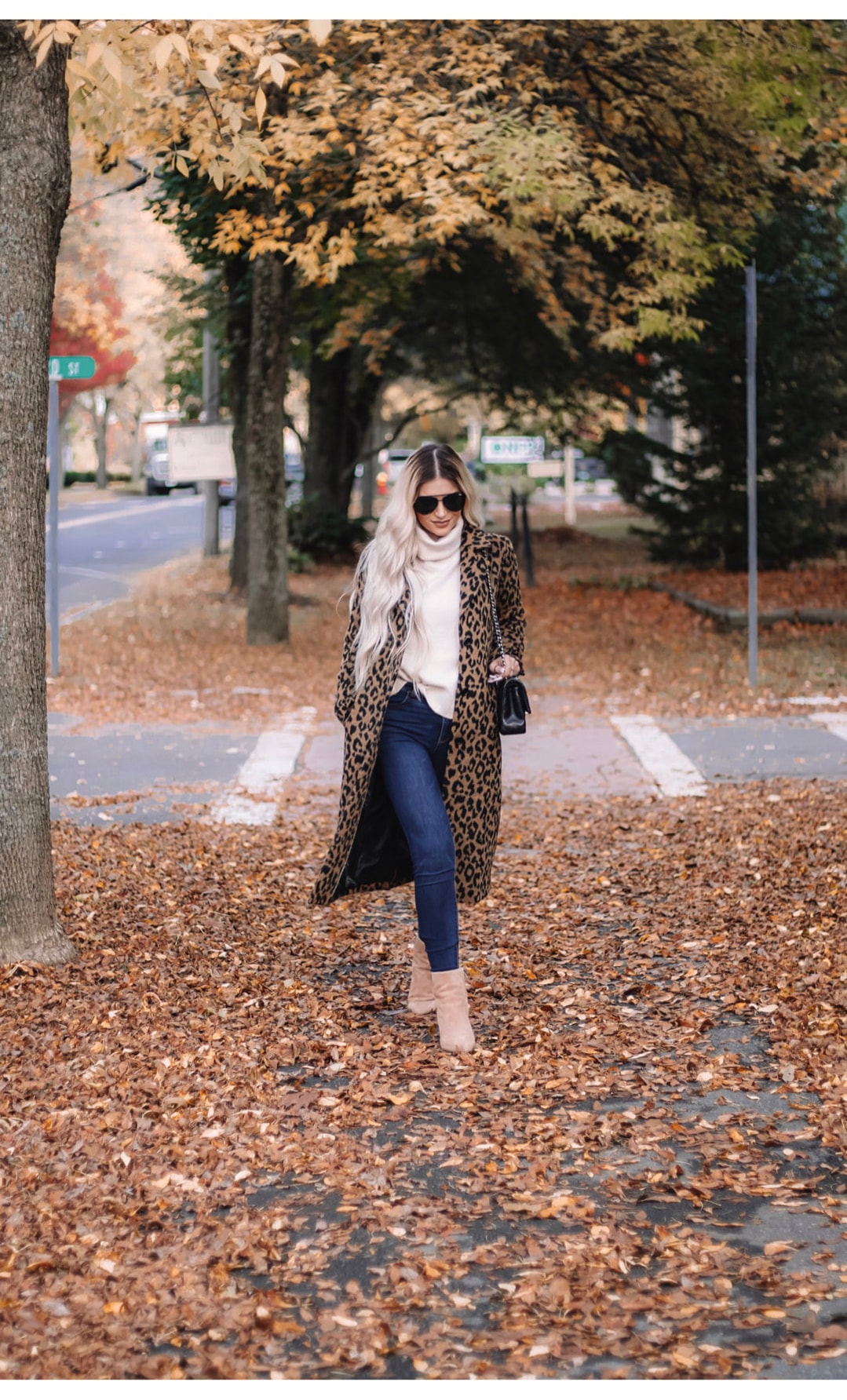 LEOPARD LOVE – FALL IN WOODSTOCK, VT